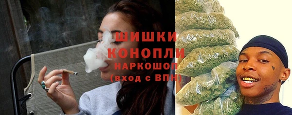 спайс Баксан