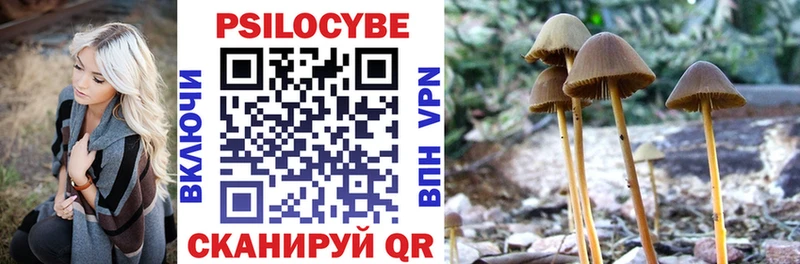 Галлюциногенные грибы мицелий где можно купить наркотик Белорецк
